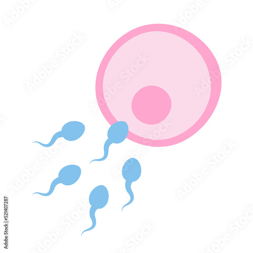sperm and egg icon vector illustration isolated on white background