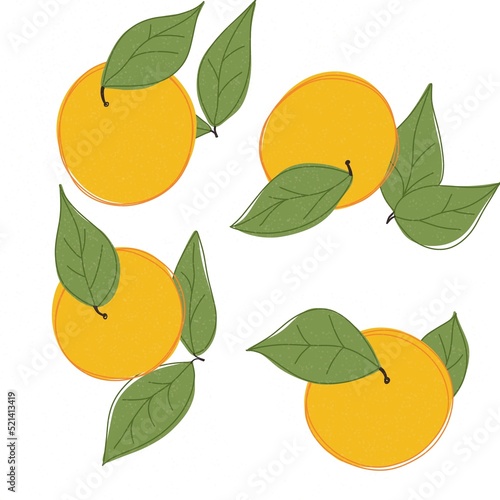 separated oranges with leaves cartoon style handdrawn 