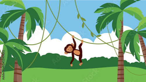 monkey hanging on a liana in the jungle