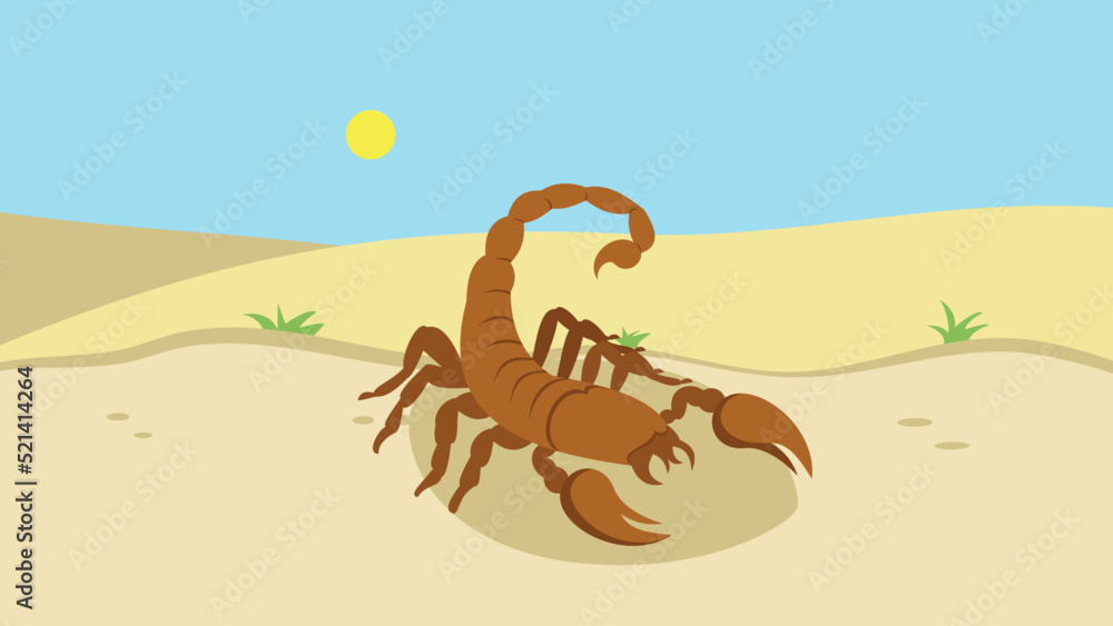 dangerous scorpion in the desert - obrazy, fototapety, plakaty 