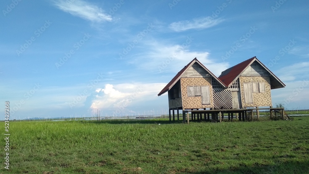 Obraz premium house in the field