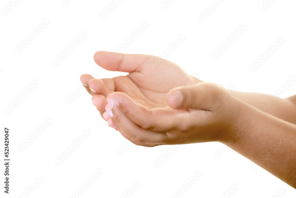 Boy's Hands are Holding Something Delicate Boy's Hands are Holding Something Delicate