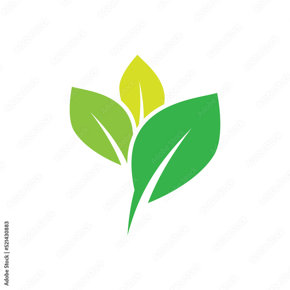 Obraz premium Green leaf illustration nature logo design