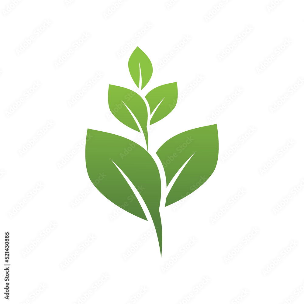 Green leaf illustration nature logo design