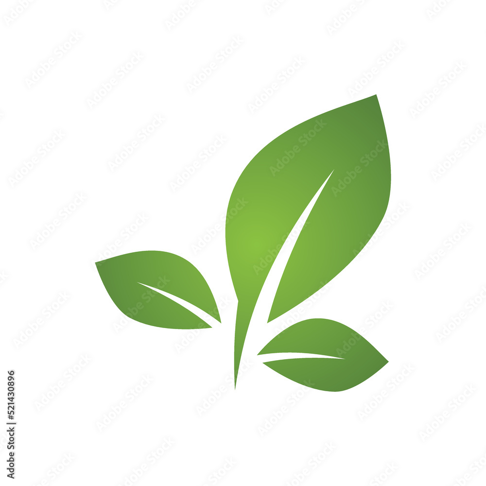 Green leaf illustration nature logo design Green leaf illustration nature logo design