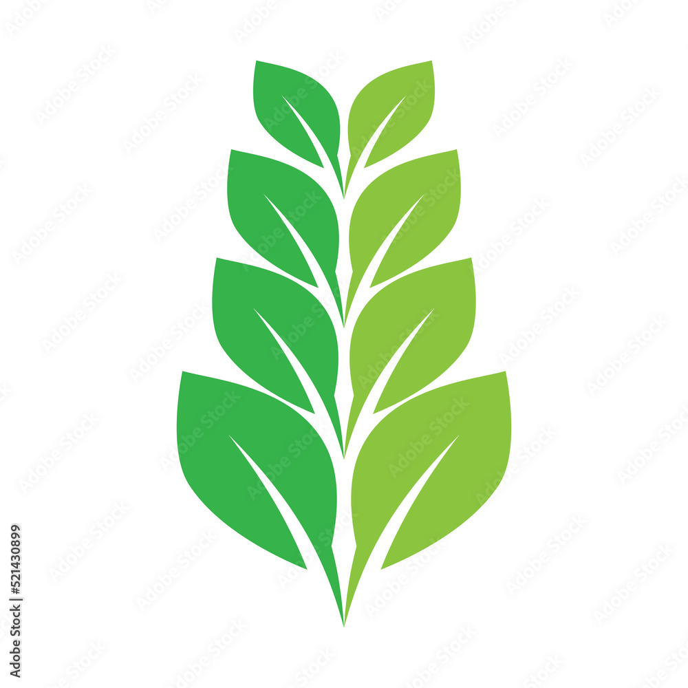 Fototapeta premium Green leaf illustration nature logo design
