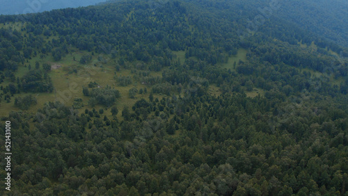 Deep forest on mountains of Manzherok, Altai