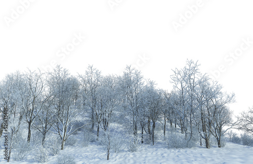 Wallpaper Mural Trees and mountains in winter on a white background with clipping paths. Torontodigital.ca