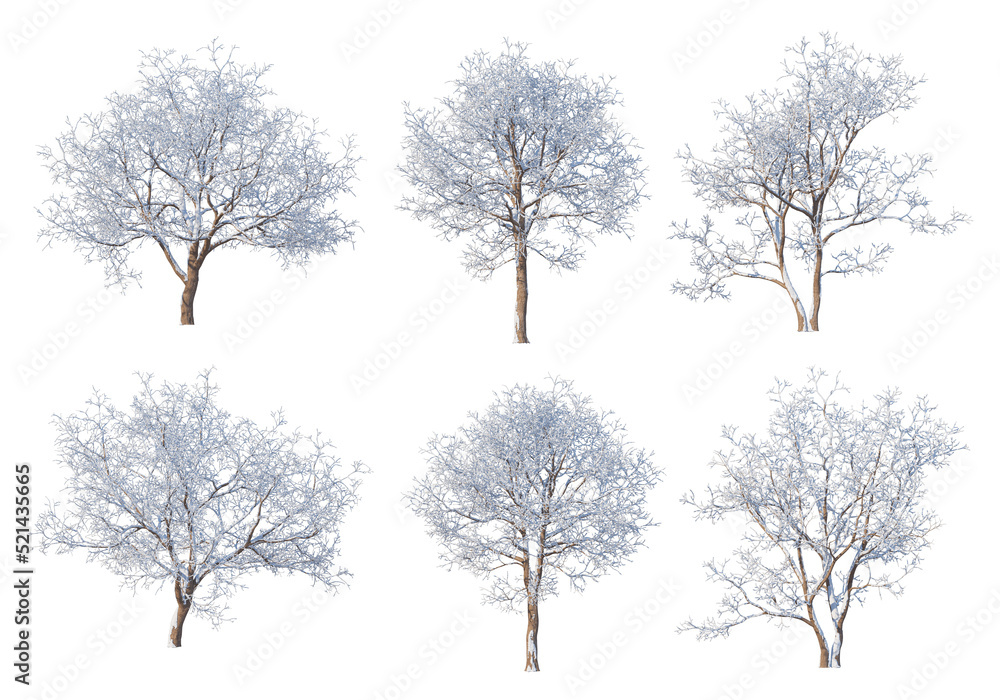 Trees and mountains in winter on a white background with clipping paths. Trees and mountains in winter on a white background with clipping paths.