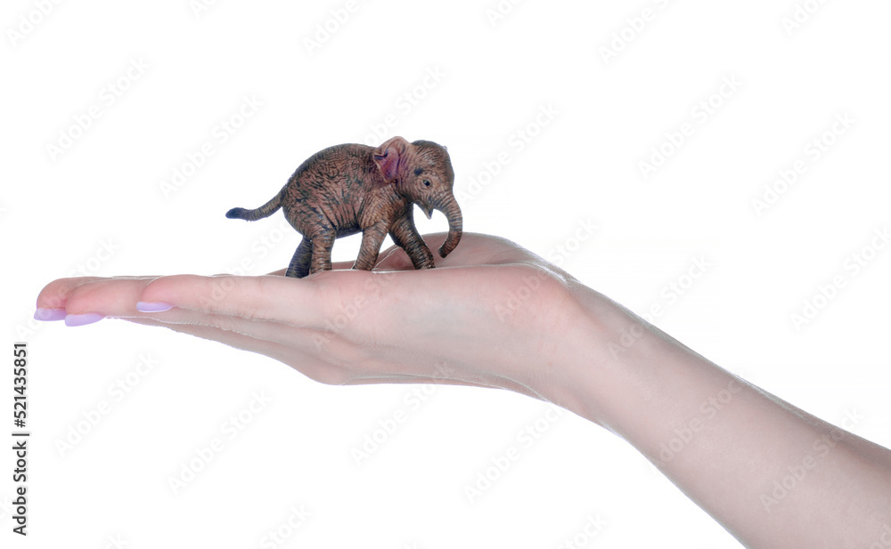 Figurine small elephant in hand on white background isolation
