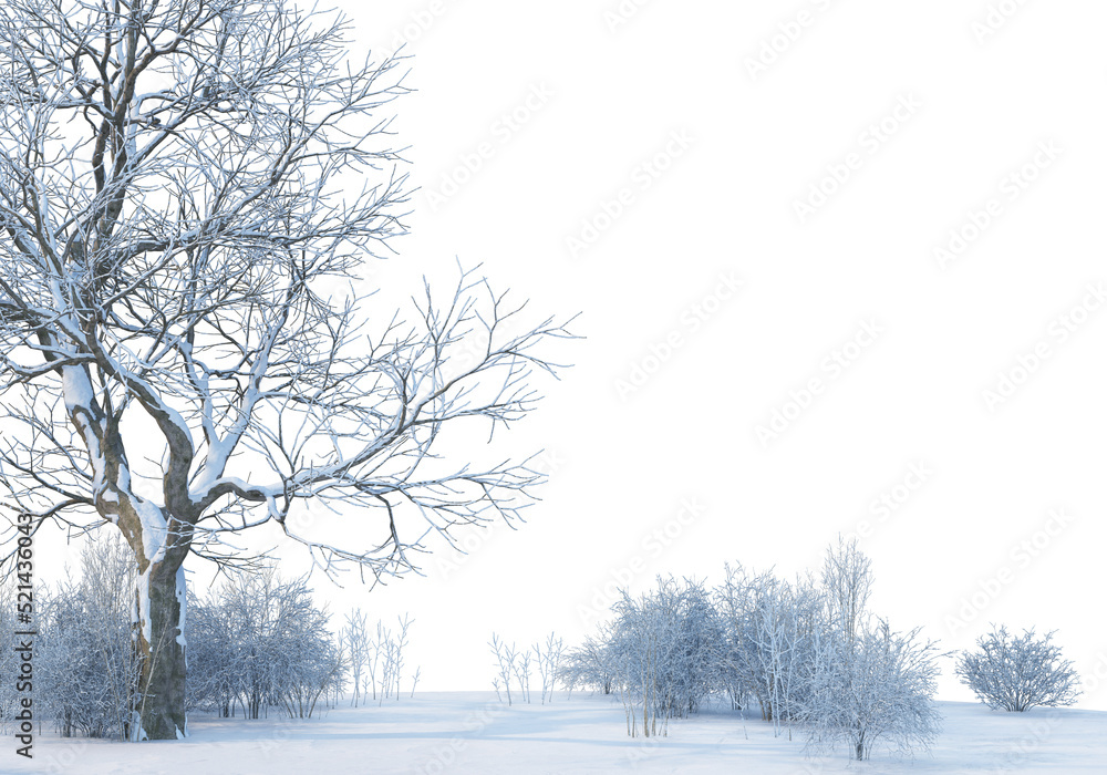 Fototapeta premium Trees and mountains in winter on a white background with clipping paths.