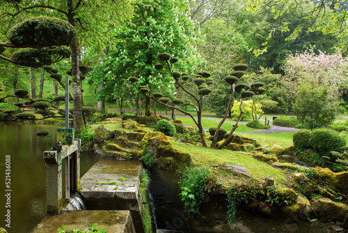 topiary  trees  in Maulivrier Japanese garden