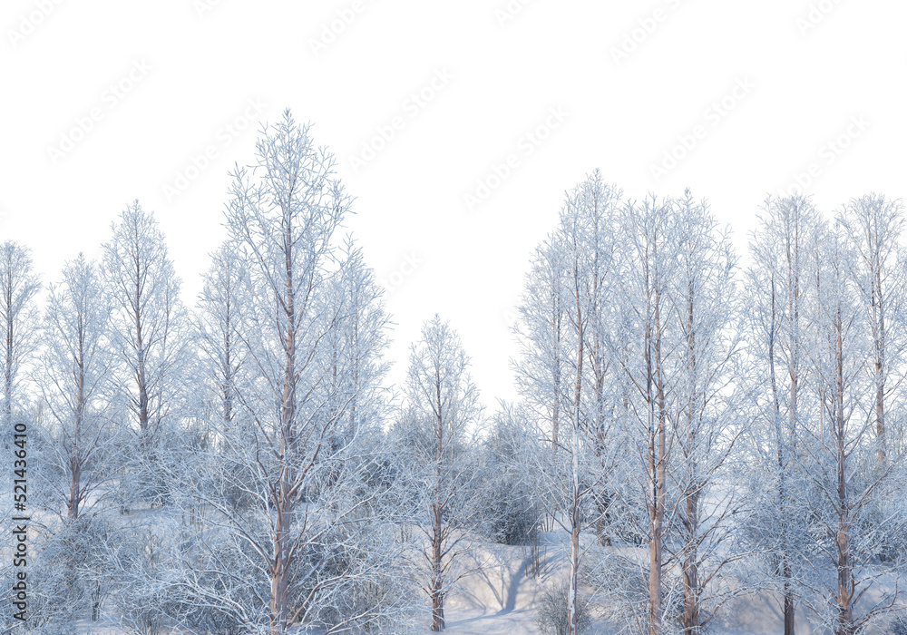 Trees and mountains in winter on a white background with clipping paths. Trees and mountains in winter on a white background with clipping paths.