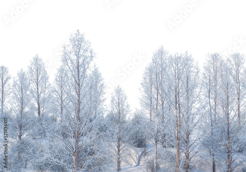 Wallpaper Mural Trees and mountains in winter on a white background with clipping paths. Torontodigital.ca