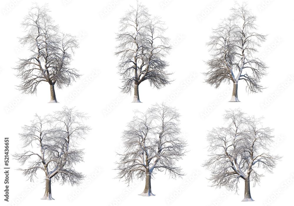 Fototapeta premium Trees and mountains in winter on a white background with clipping paths.