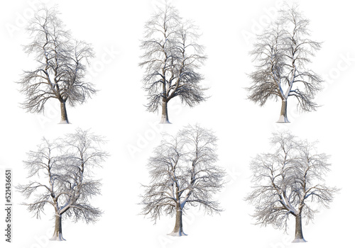 Trees and mountains in winter on a white background with clipping paths.