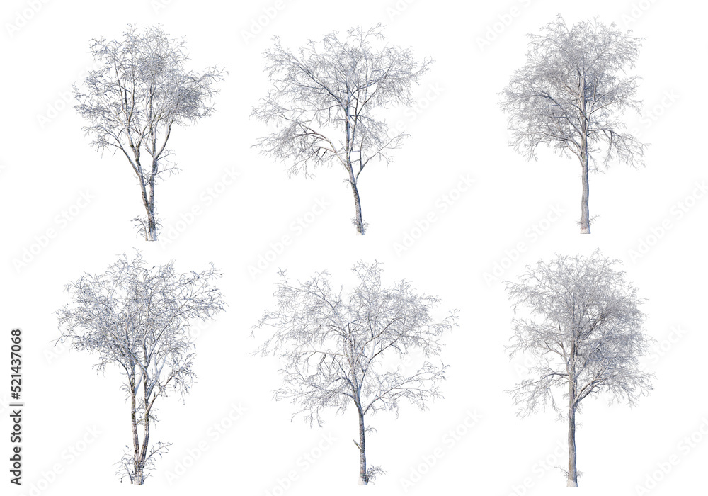 Fototapeta premium Trees and mountains in winter on a white background with clipping paths.