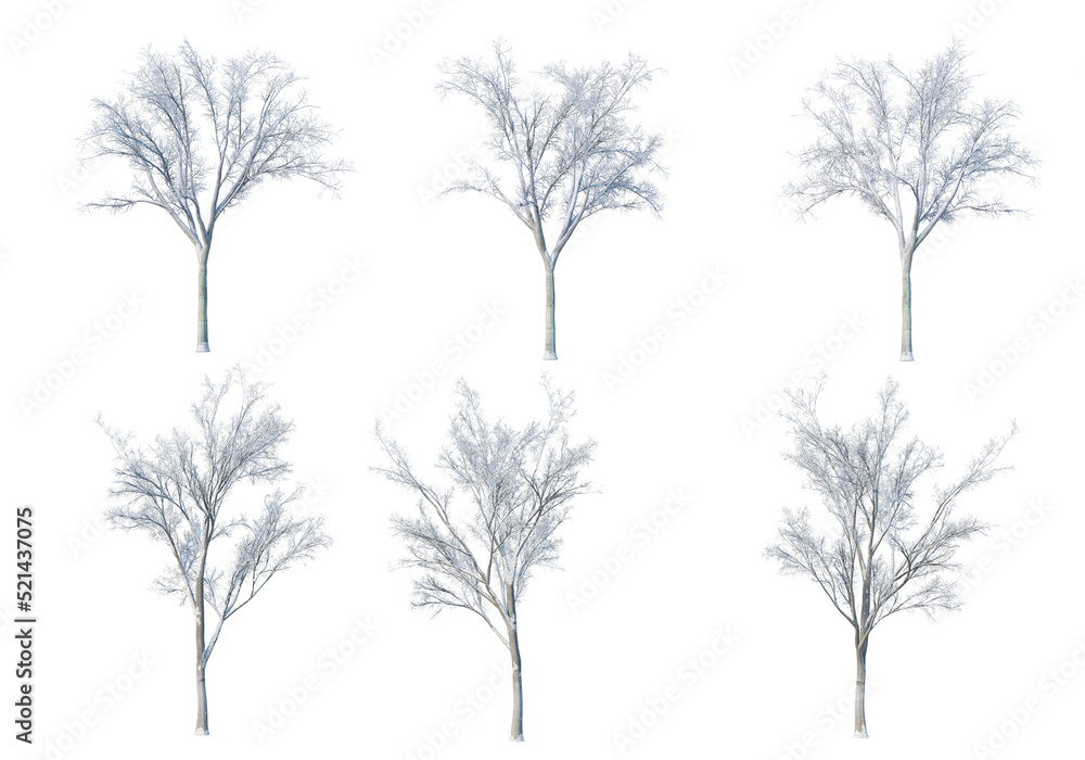 Obraz premium Trees and mountains in winter on a white background with clipping paths.