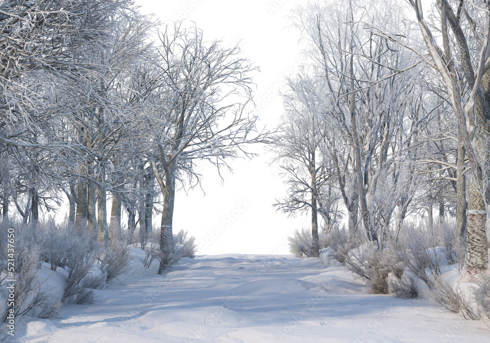Trees and mountains in winter on a white background with clipping paths. Trees and mountains in winter on a white background with clipping paths.