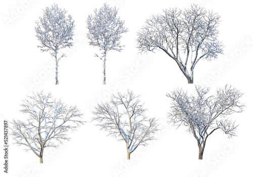 Trees and mountains in winter on a white background with clipping paths. © jomphon