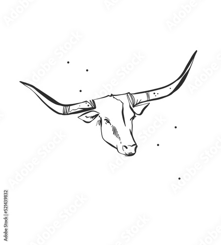 Hand drawn abstract vector graphic clipart illustration boho bull head with horns logo element.Western design concept.Bohemian wild west contemporary art.Cowboy girl modern drawing.Feminine logo.