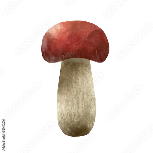 Autumn forest mushroom, watercolor illustration isolated on white background.