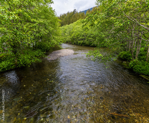 A view of the spawning area on the main salmon stream in Ketchikan, Alaska in summertime