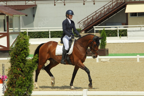 Bay horse under saddle with rider ride dressage test 