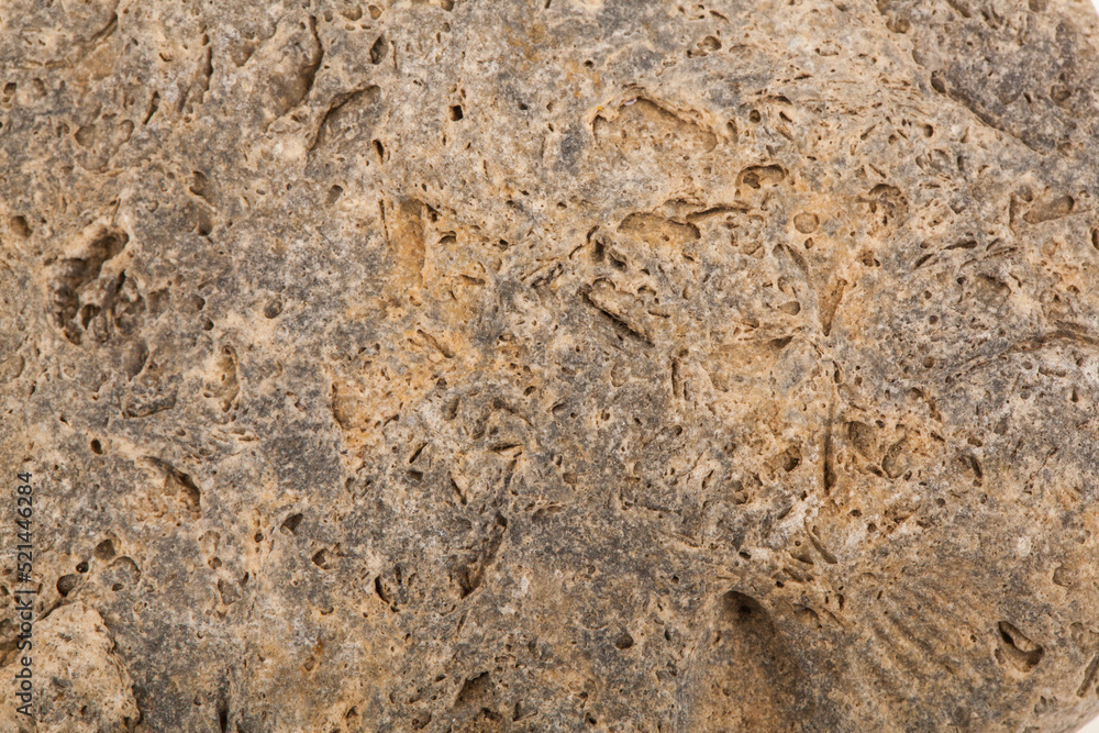 The texture of an ancient stone with impressions of shells as a background. The texture of an ancient stone with impressions of shells as a background.