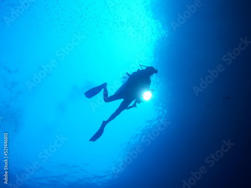 Fotografie, Obraz person scuba diving in the blue sea