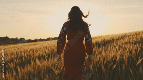 4k shot of young beautiful woman wearing ukrainian traditional embroidered dress in wheat field during sunset. Stand with Ukraine