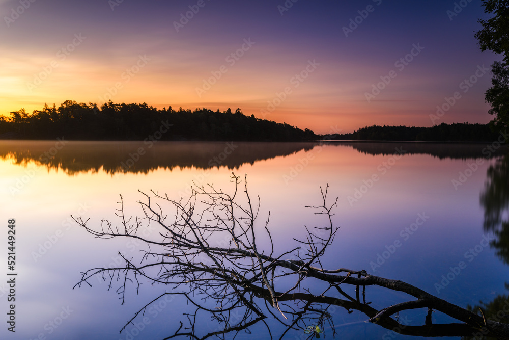 Fallen tree at sunrise over the lake 