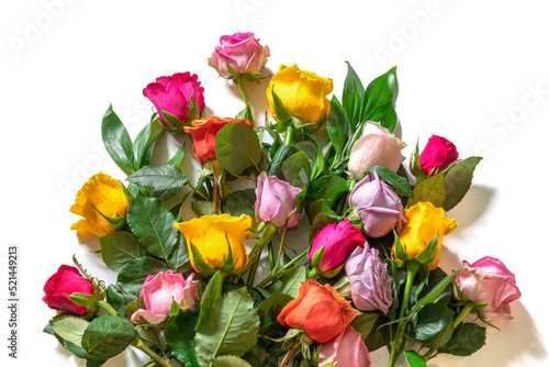 Multicolored roses isolated on a white background. Background for congratulations on Mother s Day  Birthday or other holiday.