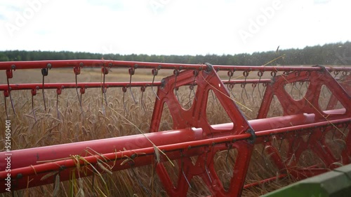 Harvester machine harvesting golden ripe wheat field on an agricultural field from close up. Wheat harvest. Agriculture food production.   Industry concept. Wheat harvesting shears. 