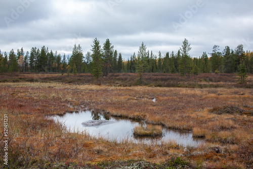Autumn Landscape in Sami Village, Murmansk, Russia