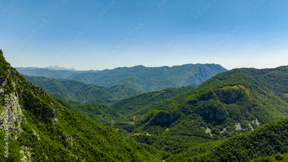 aerial view of forrest in mountains