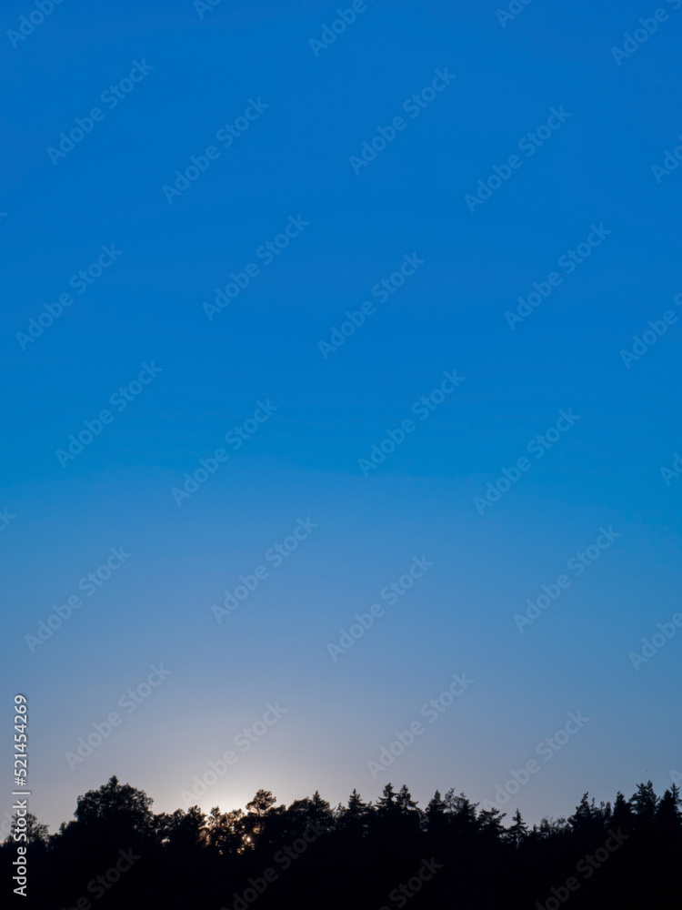 sunset over the forest with blue copy space on the top