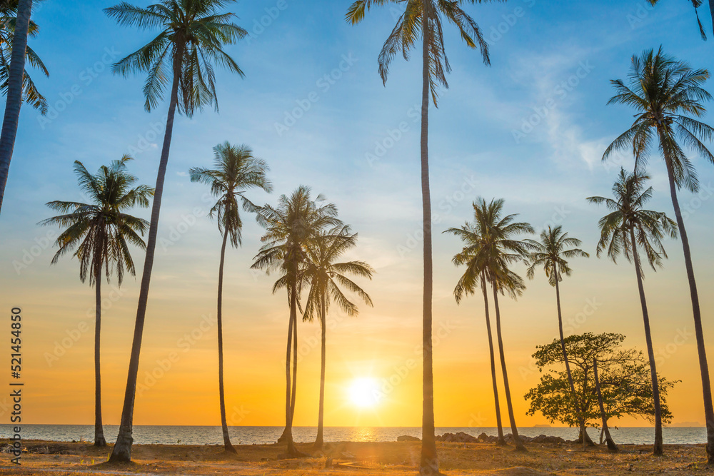 Fototapeta premium Sunset with palm trees on beach, landscape of palms on sea island