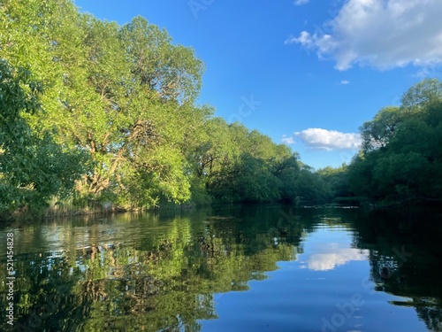 lake and trees