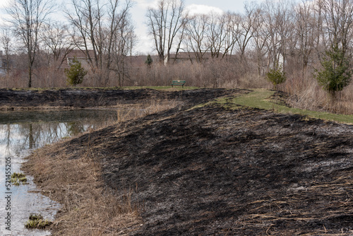 Prairie Burn At The Local Prairie Wildflowers Planting Site