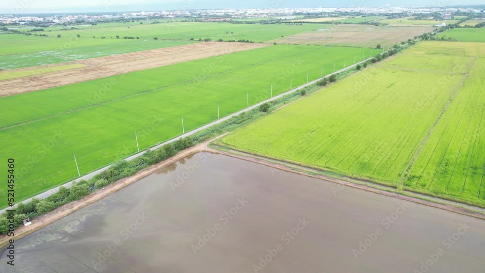 high angle view of farm, grow plants, nice landscape
high angle view of farm, grow plants, nice landscape