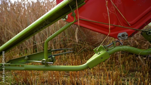 Combine harvester harvests wheat in the field. Threshing combine in motion. Harvesting machinery in the field in summer.