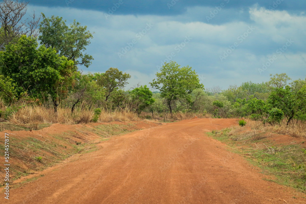 Empty Road with Orange Sand and Green Trees in the Mole National Park, the Largest wildlife refuge of Ghana, West Africa Empty Road with Orange Sand and Green Trees in the Mole National Park, the Largest wildlife refuge of Ghana, West Africa