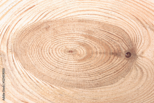 A cut of a tree with a woody macro structure