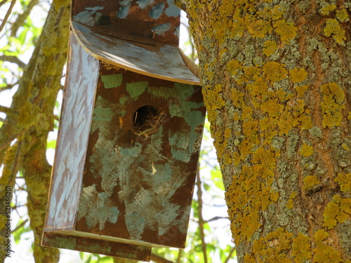wooden bird house