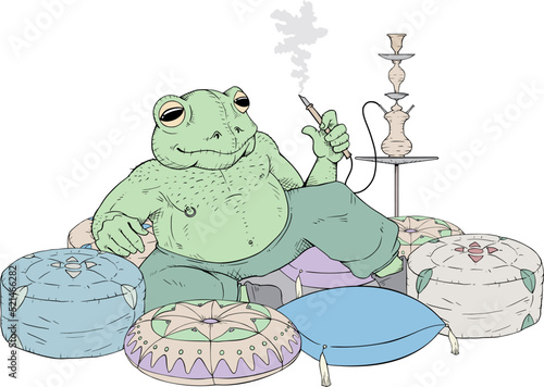 Funny frog smoking hookah