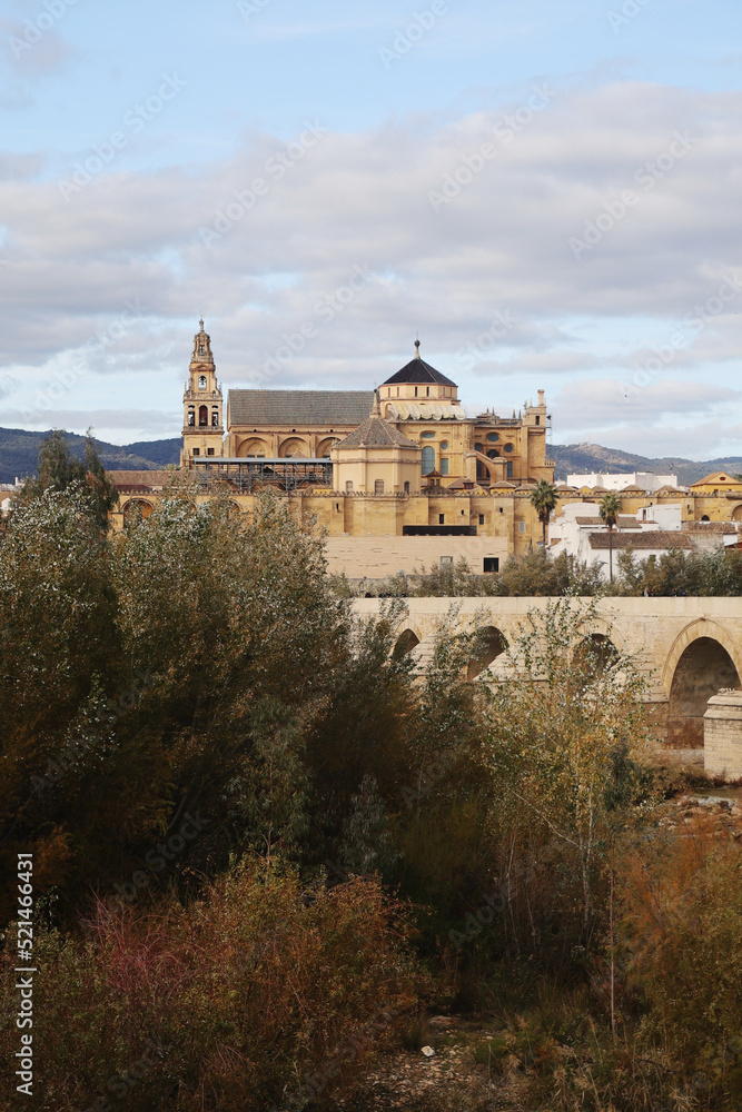 Mezquta cathedral and Roman bridge in Cordoba, Spain	