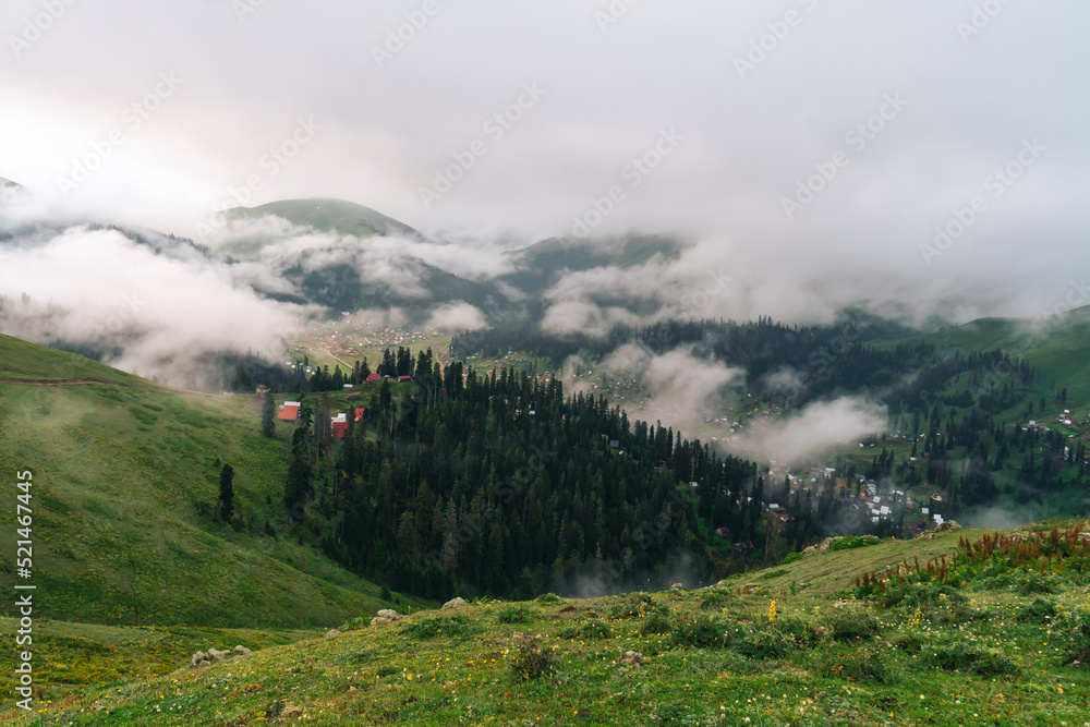 Beautiful mountain landscape with green grass, trees in the clouds early in the morning. Bakhmaro, Georgia Beautiful mountain landscape with green grass, trees in the clouds early in the morning. Bakhmaro, Georgia