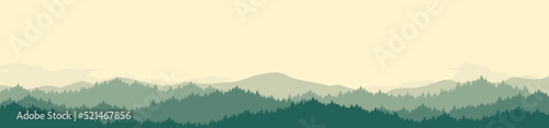 Beautiful landscape of mountains, pine forests and fog. mountain scenery Foggy pine forest.