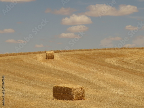 bales in the field